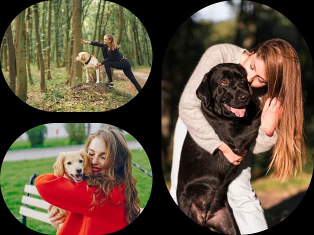 Growing up with German Shepherds - four generations of canine expertise