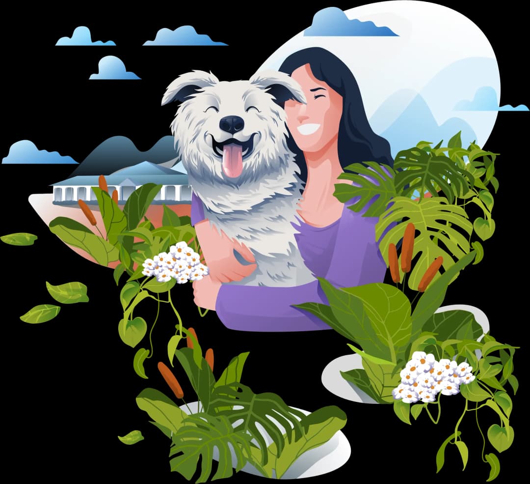 Friendly dog training